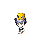 Chip